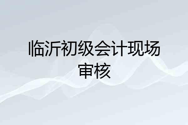临沂初级会计现场审核