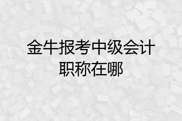 金牛报考中级会计职称在哪