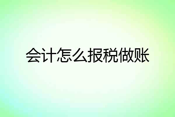 会计怎么报税做账