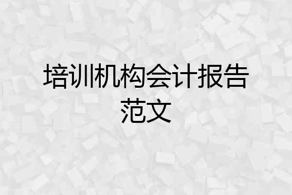 培训机构会计报告范文