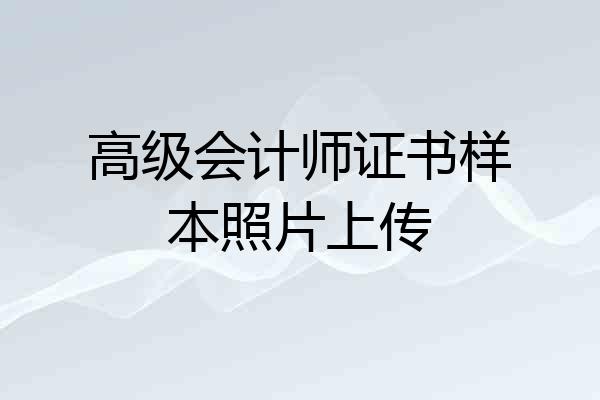 高级会计师证书样本照片上传