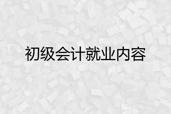 初级会计就业内容