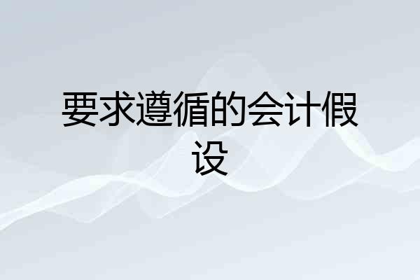 要求遵循的会计假设