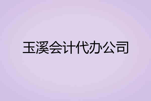 玉溪会计代办公司