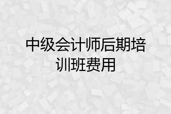 中级会计师后期培训班费用