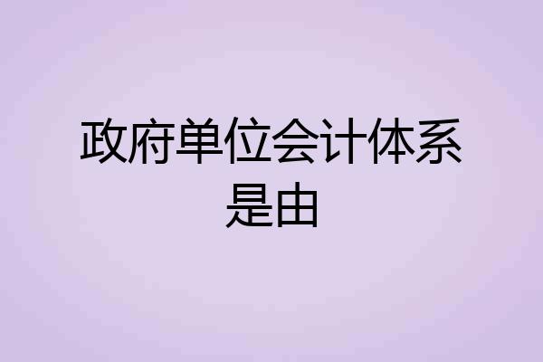 政府单位会计体系是由