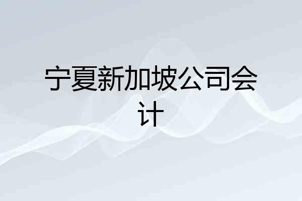 宁夏新加坡公司会计
