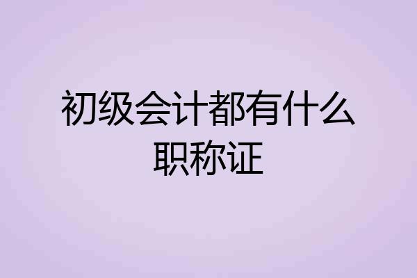 初级会计都有什么职称证