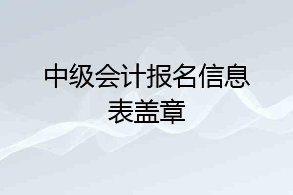 中级会计报名信息表盖章