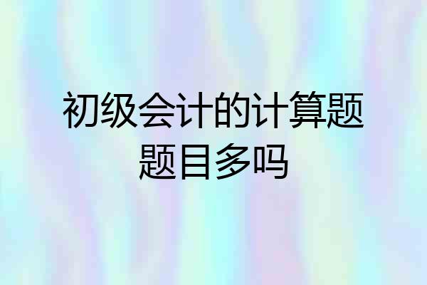 初级会计的计算题题目多吗