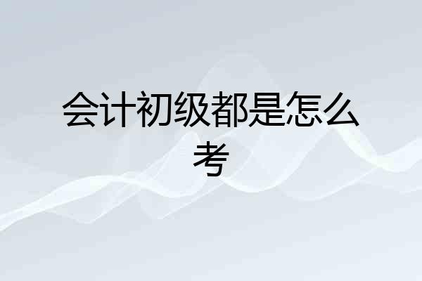会计初级都是怎么考