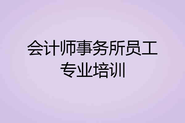 会计师事务所员工专业培训