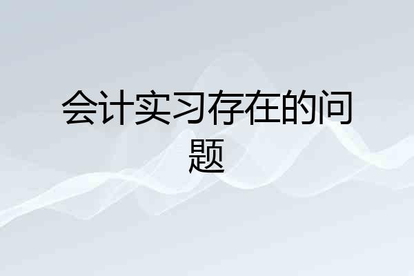 会计实习存在的问题