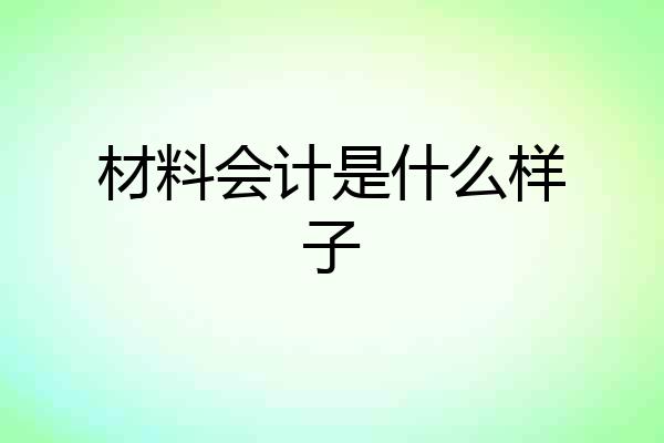 材料会计是什么样子
