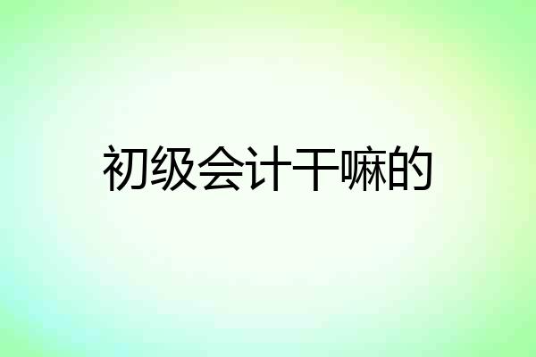 初级会计干嘛的