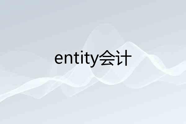 entity会计