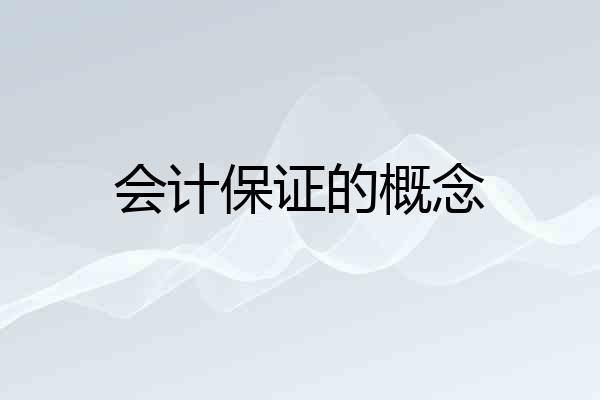 会计保证的概念