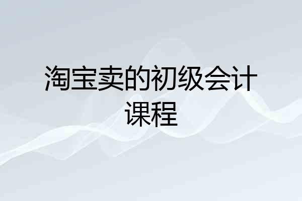 淘宝卖的初级会计课程
