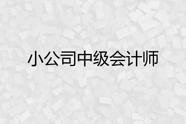 小公司中级会计师