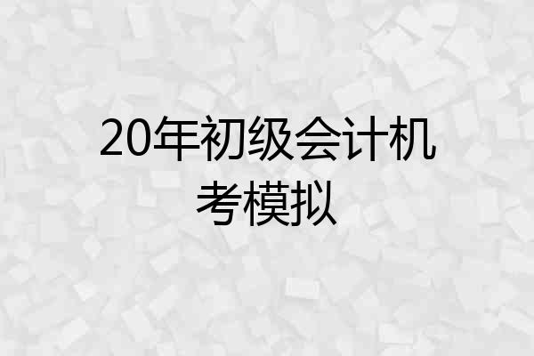 20年初级会计机考模拟