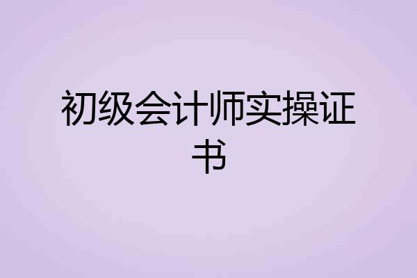 初级会计师实操证书