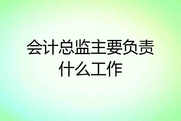 会计总监主要负责什么工作