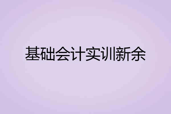 基础会计实训新余