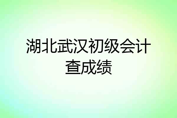 湖北武汉初级会计查成绩