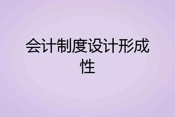 会计制度设计形成性