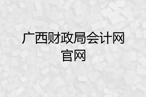 广西财政局会计网官网