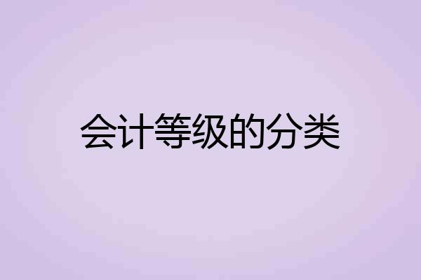 会计等级的分类