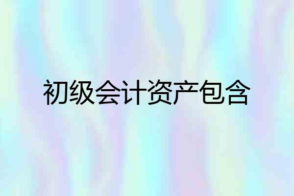 初级会计资产包含