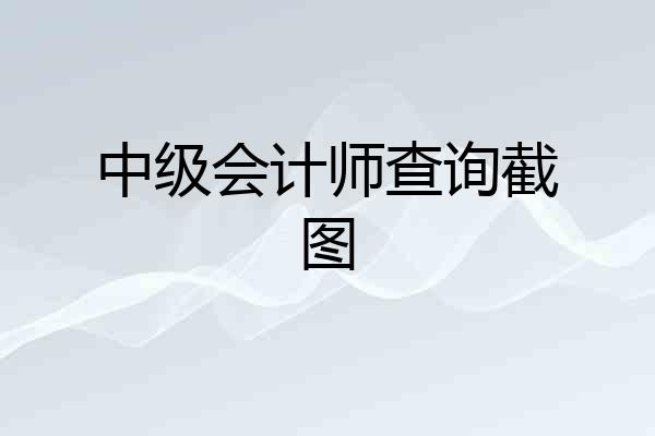中级会计师查询截图