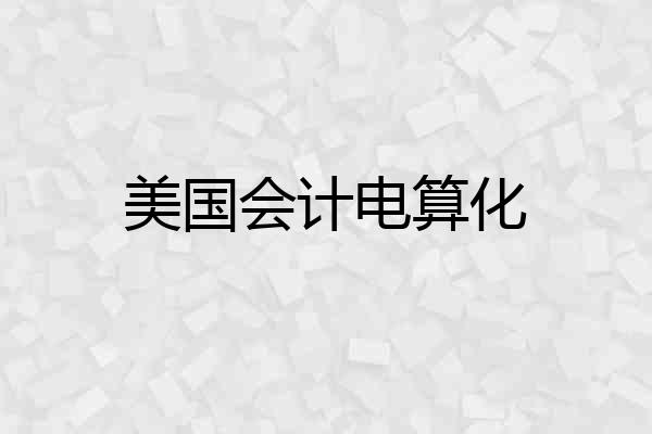美国会计电算化