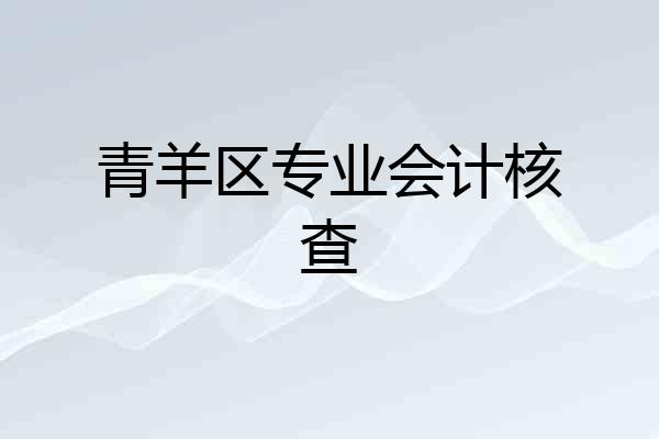 青羊区专业会计核查