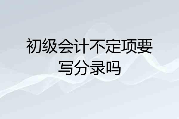 初级会计不定项要写分录吗