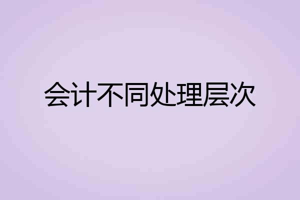 会计不同处理层次