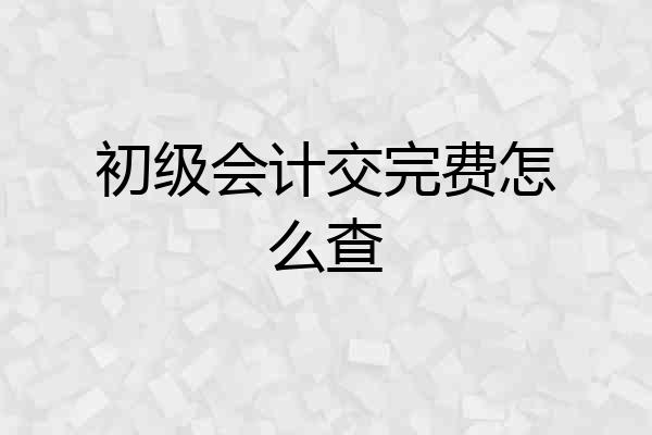 初级会计交完费怎么查