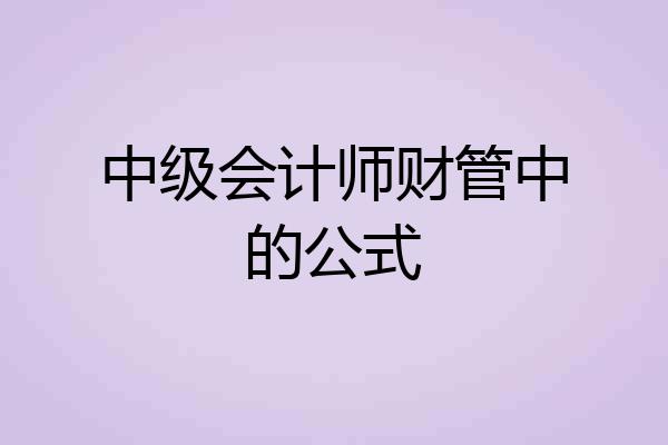 中级会计师财管中的公式