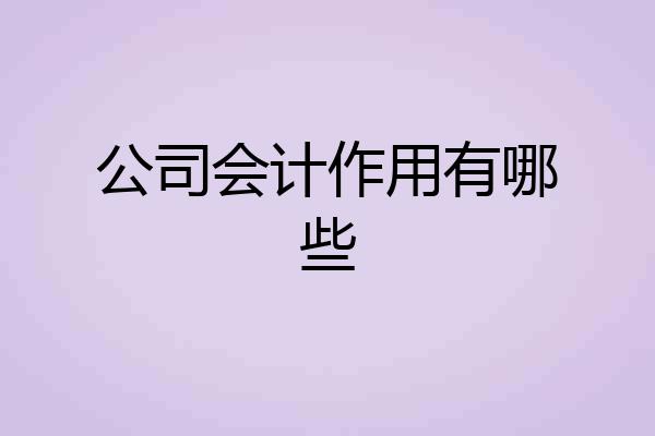 公司会计作用有哪些