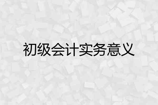初级会计实务意义