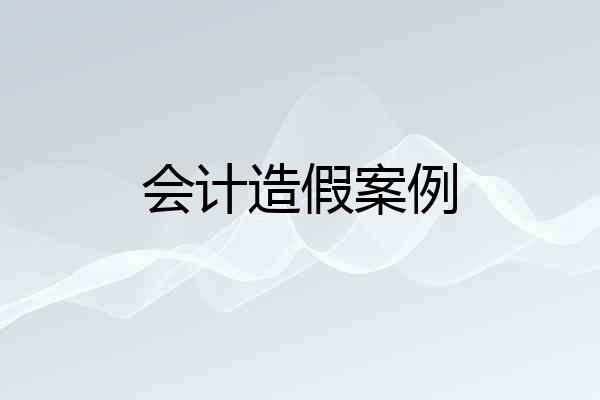 会计造假案例