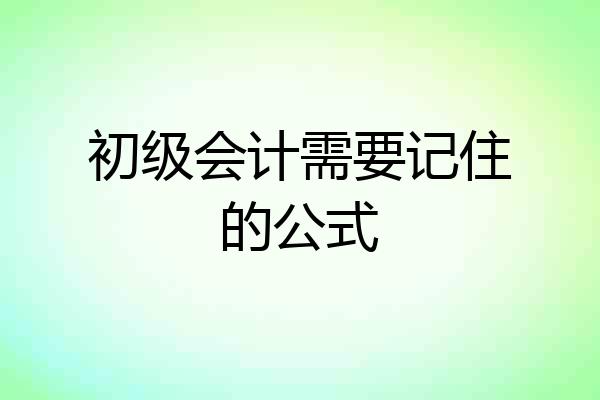 初级会计需要记住的公式