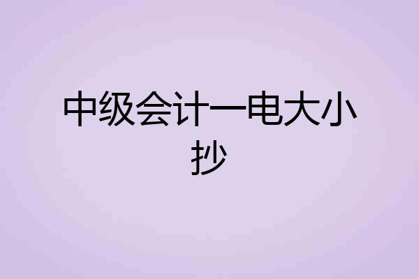 中级会计一电大小抄