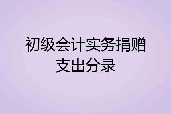 初级会计实务捐赠支出分录