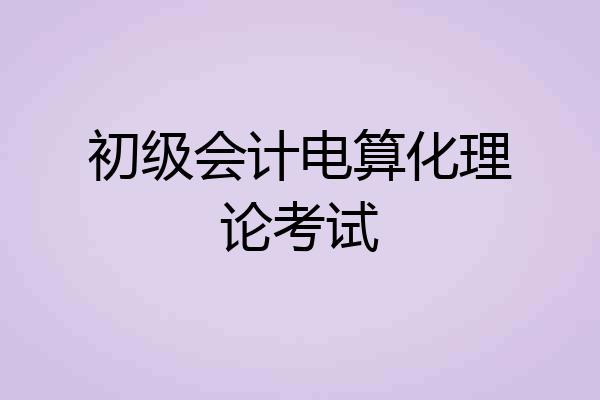 初级会计电算化理论考试