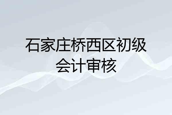 石家庄桥西区初级会计审核