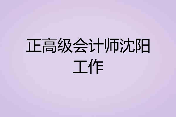 正高级会计师沈阳工作