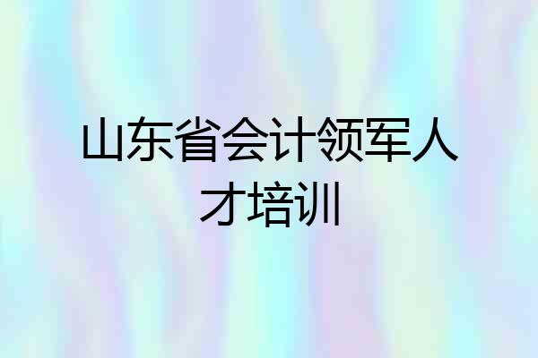 山东省会计领军人才培训