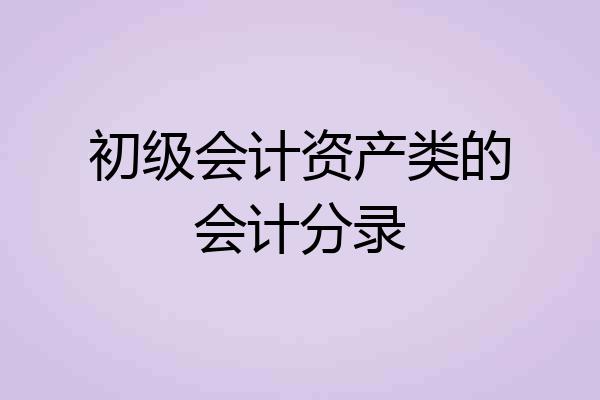 初级会计资产类的会计分录
